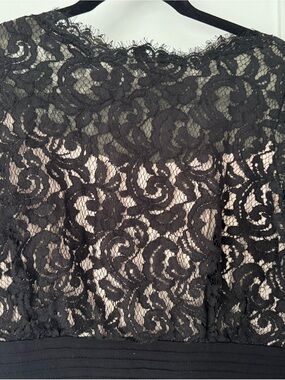 Tadashi Shoji Black Lace Overlay with Nude Underlayer Dress